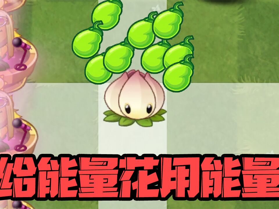 花园战争怎么打开_花园战争打开黑屏_花园战争打开白屏