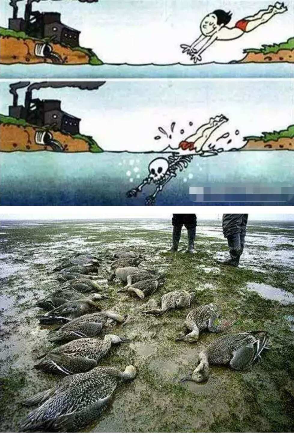 伤害世界_伤害世界下载_伤害世界英文名是什么