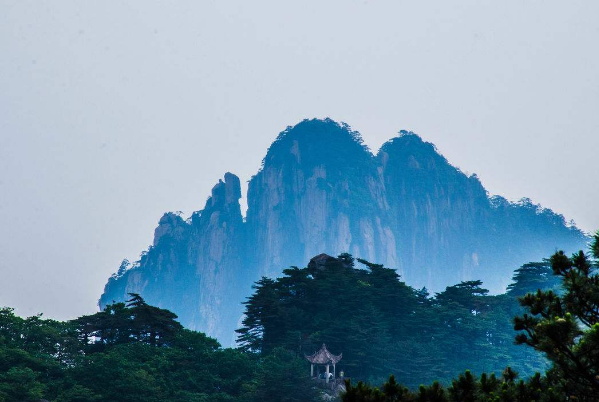国山是什么树_我国的国山是哪一座山_国山是什么