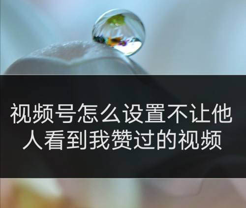 视频赞微信记录找到点号怎么找_微信视频号点赞记录在哪里找到_微信赞过的视频号怎么找