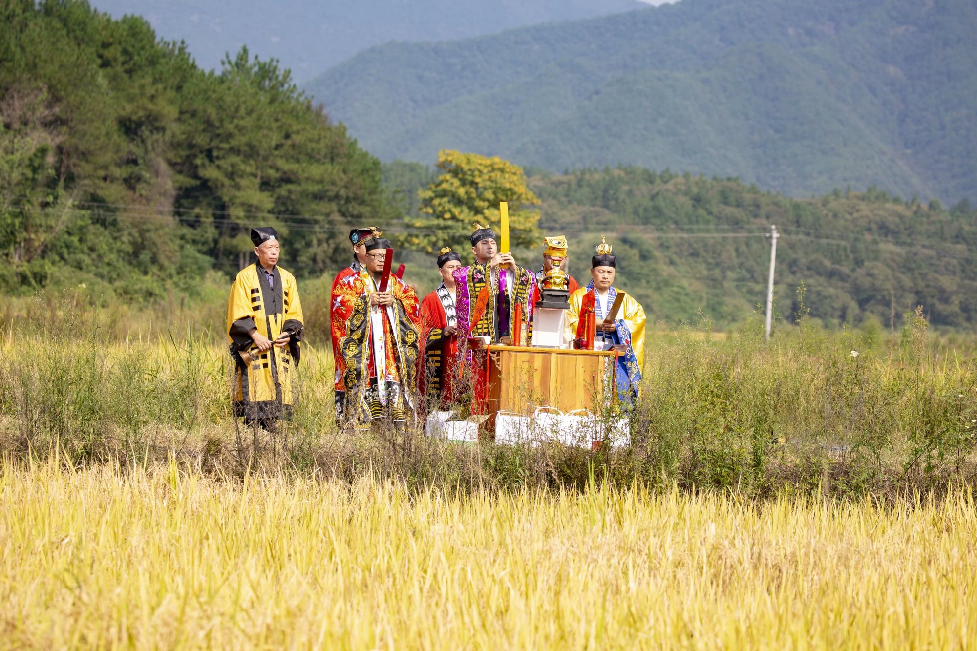 寂静村的孩子们_寂静村_寂静村的孩子们攻略