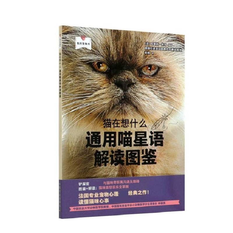 猫阅读感想_阅读猫_猫番阅读