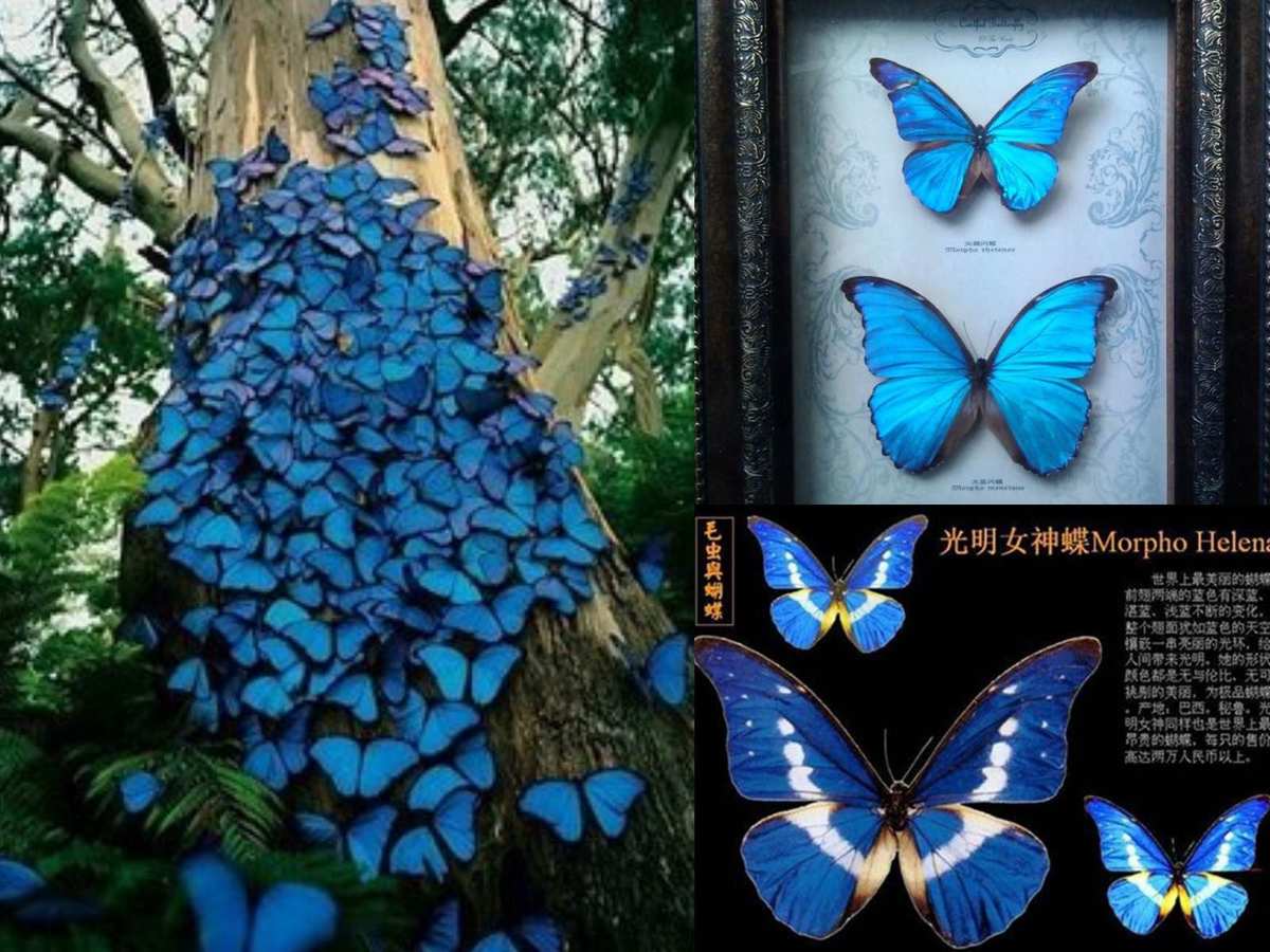 觅游戏_游觅_觅游新传考研