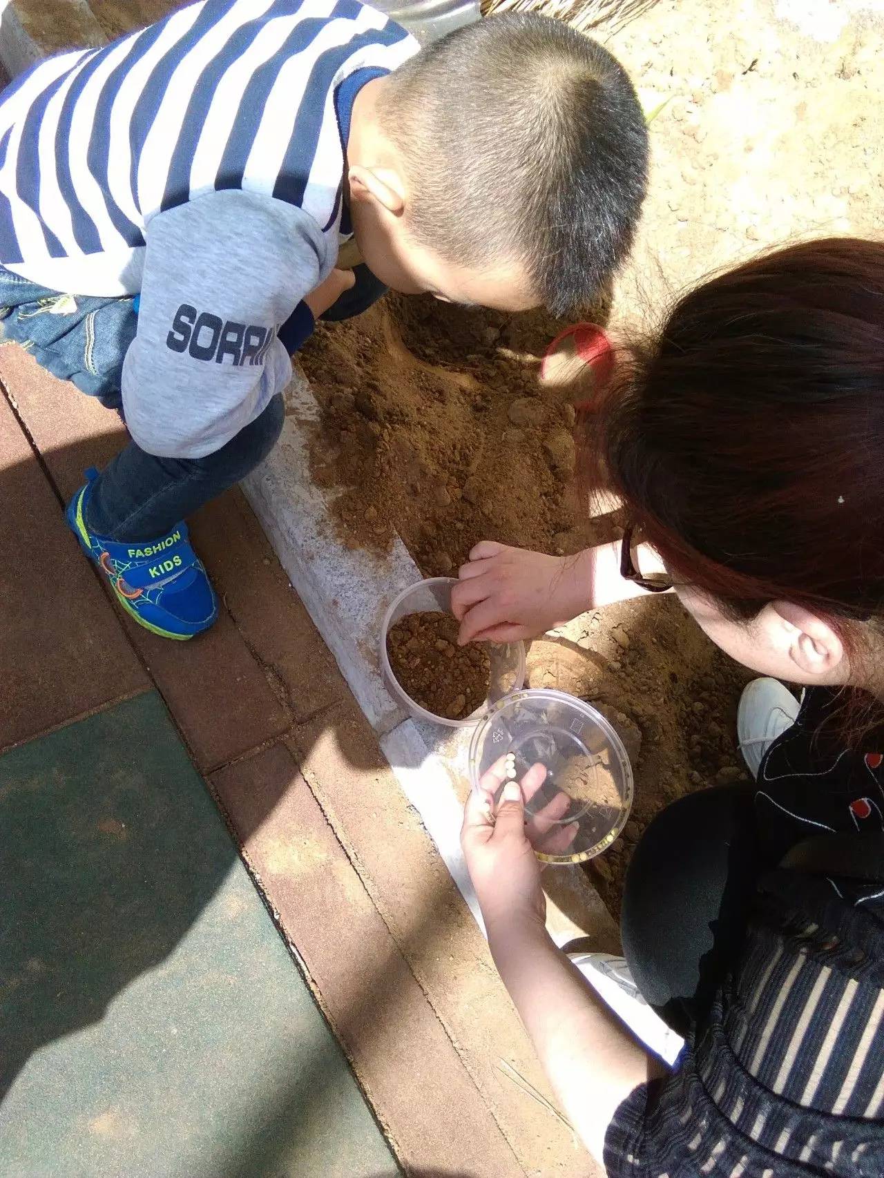 老滚手机版_手机老游戏滚红球_老滚是哪个游戏