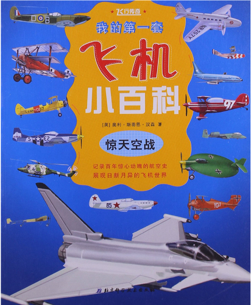 苹果手机游戏推荐空战游戏_iphone空战游戏排行榜_苹果空战游戏哪个好玩