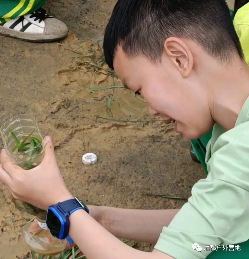 有什么好玩的实验视频_视频趣味实验手机游戏怎么做_趣味实验手机游戏视频