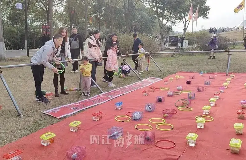 没有手机自己一个人玩的游戏_有没有两个人一起玩的手机游戏_有玩起个人没手机游戏的软件吗