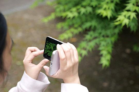 全面屏手机打游戏如何_全面屏手机打游戏怎么全屏显示_全面屏手机玩游戏