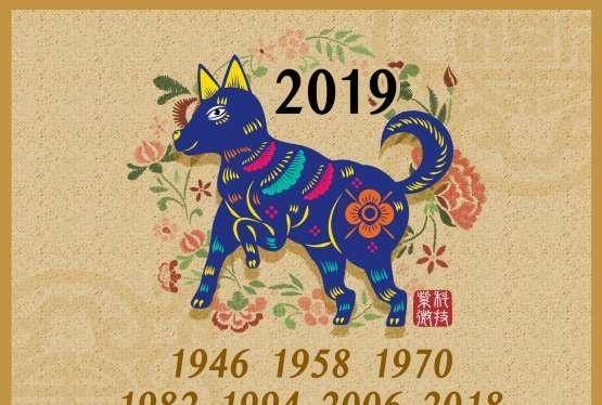 生肖是年还是时辰_生肖是年份还是时辰_2019年是什么生肖