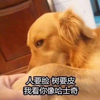 喜欢的人忘记戴眼镜了_眼镜忘记戴喜欢人的眼睛_眼镜忘记戴喜欢人怎么办