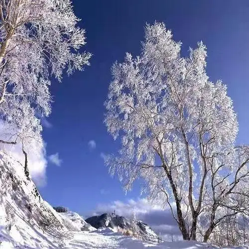 寡妇年是2024年几月到几月_2020年为什么是寡妇年_寡妇年是2024还是2025