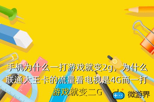 苹果手机玩游戏没网络其他可以_苹果升级玩没网手机游戏会卡吗_苹果手机升级后玩游戏没网