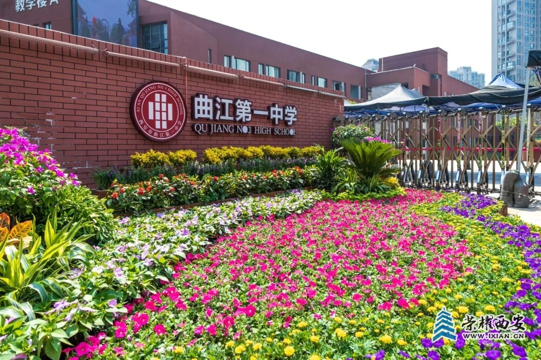 松平瞳子在小说第几话出场_松平瞳子_松平瞳子配音