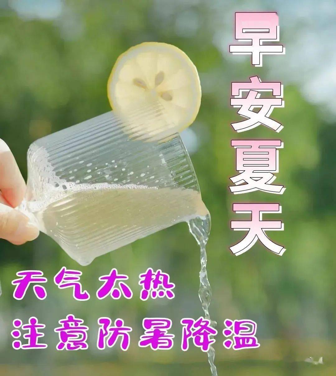 松平瞳子配音_松平瞳子在小说第几话出场_松平瞳子