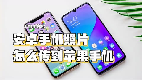苹果游戏怎么转安卓手机_安卓苹果转手机游戏怎么转_安卓手机转苹果手机游戏