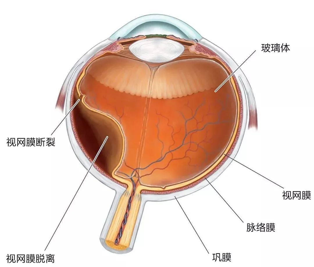 实战手机游戏推荐_实战手机游戏有哪些_实战手机游戏