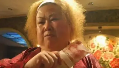 容斋随笔王居正封驳_武居正能_能武能文