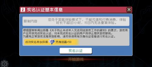 游戏免实名,探索游戏行业免实名认证的无限可能