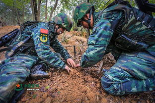 武警战游戏,武警战游戏中的忠诚与荣耀