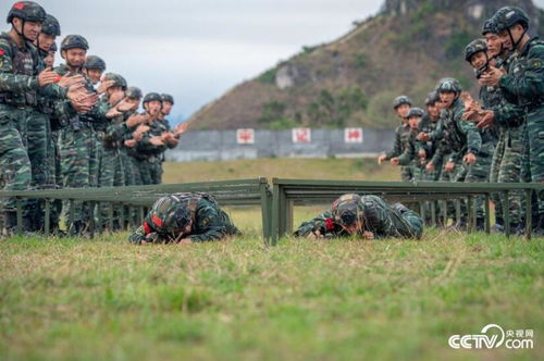 武警任务游戏,提升实战技能——武警部队趣味游戏助力实战化训练”