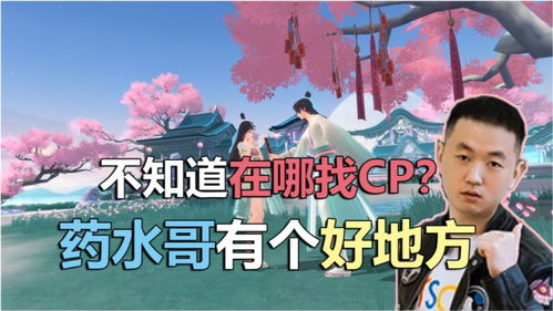 找到游戏cp,共创欢乐竞技之旅