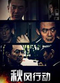 疾风行动 