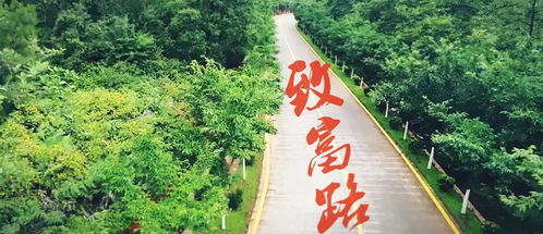 王铲铲的致富之路免广告版下载 