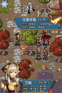 驭龙骑士团 