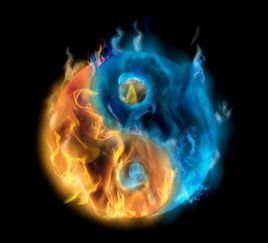 阴阳师妖怪屋下载安装 