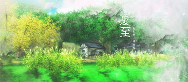 夏至游戏