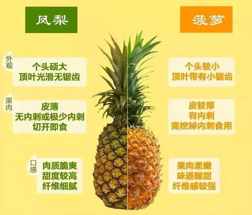 你是不是菜下载免广告 