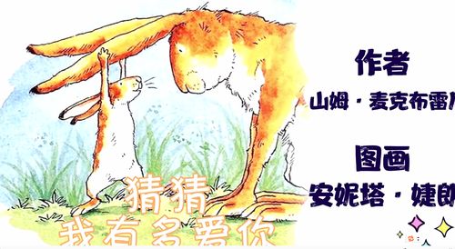 你能有多箭 