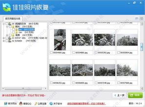 悟空相片恢复软件最新版下载2024 