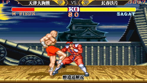 拳皇97属蛇版无限气 