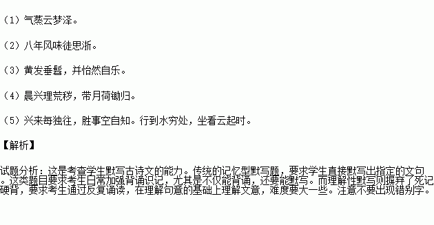 默写文游戏,传承文化新风尚