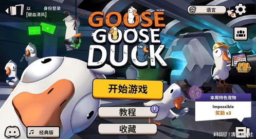 美国鹅游戏,一场跨越国界的奇幻冒险之旅