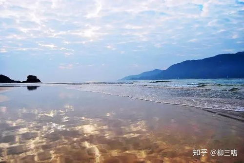 皇后成长计划最新版 