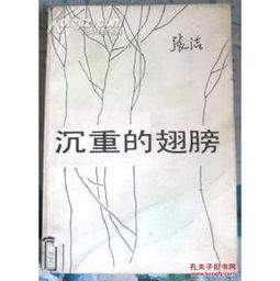 沉重的翅膀