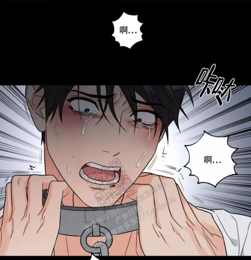 皮皮漫画免费漫画网站 