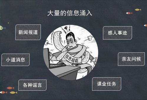瑾软信息 