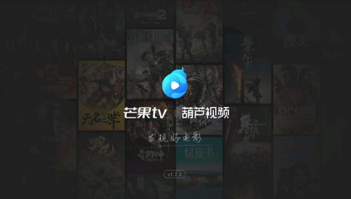 糖葫芦达人 