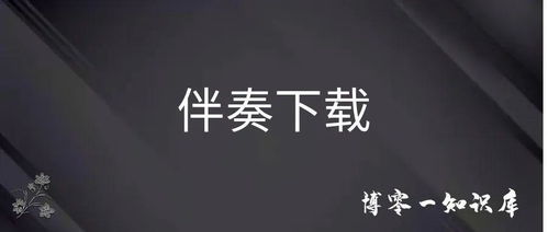 伴奏大师 