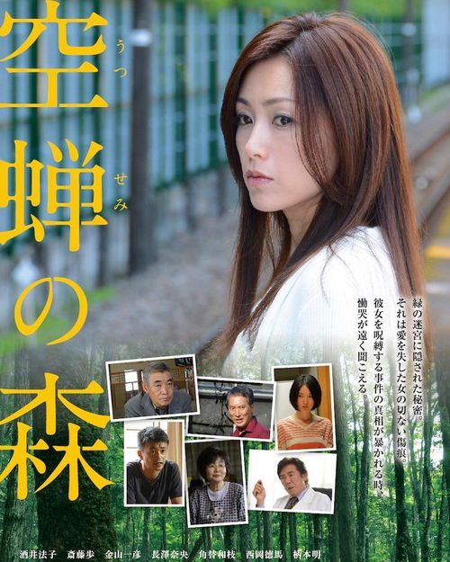 动物之森：口袋露营 