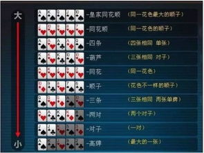 皇家城堡防御 