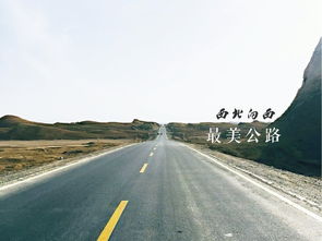 僵尸公路之旅最新版下载 