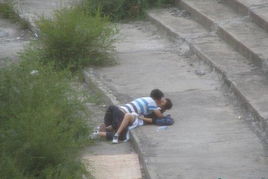 模拟荒野战场 