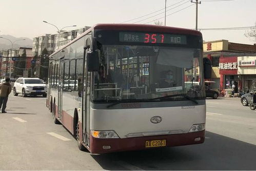 模拟公交车驾驶中文版无限金币 