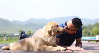 最强训练师官方版下载 