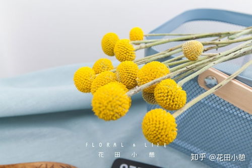 黄金色的卡车模拟器 