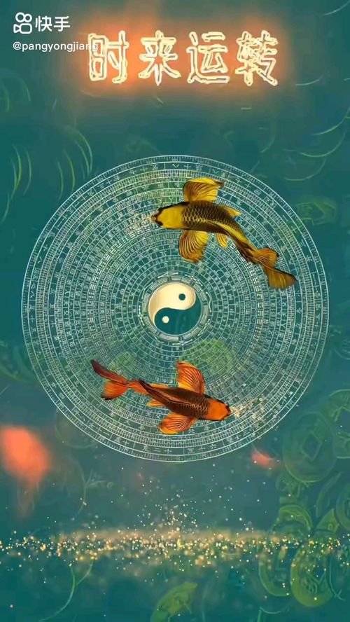 蒸汽火车运转 